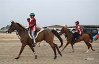 /international/Bahrain/2008HMTheKingsEnduranceCup/Gallery/theRide/thumbnails/OSM33580.jpg