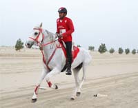 /international/Bahrain/2008HMTheKingsEnduranceCup/Gallery/theRide/thumbnails/OSM33585.jpg
