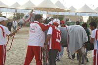 /international/Bahrain/2008HMTheKingsEnduranceCup/Gallery/theRide/thumbnails/OSM33772.jpg