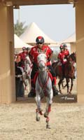 /international/Bahrain/2008HMTheKingsEnduranceCup/Gallery/theRide/thumbnails/OSM33985.jpg