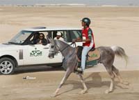 /international/Bahrain/2008HMTheKingsEnduranceCup/Gallery/theRide/thumbnails/OSM34197.jpg