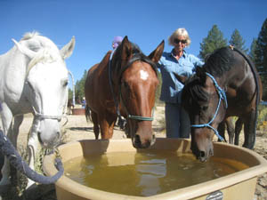 rides/2008OldSelam/gallery/merri/rotator/IMG_3860.jpg
